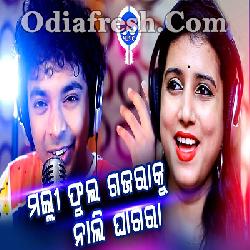 Malli Phula Gajaraku Nali Ghagara - Mantu Chhuria - Diptirekha Padhi